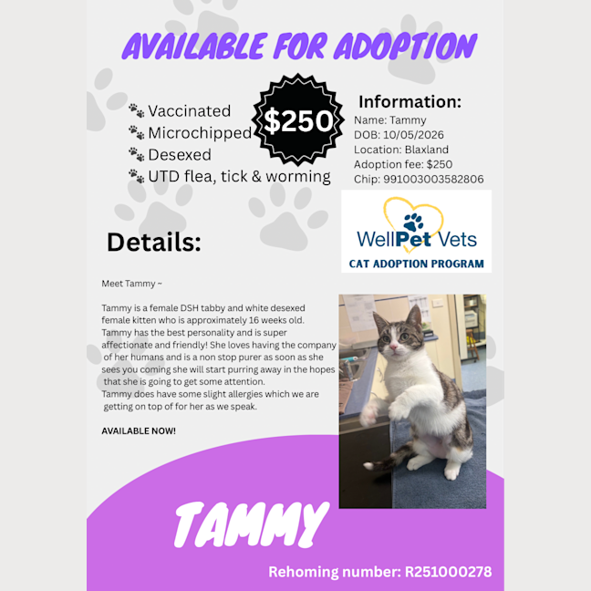 Photo of Tammy