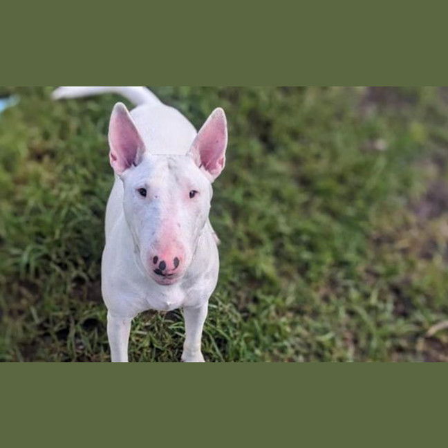 Photo of Addie