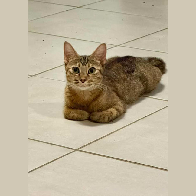 Photo of Arya