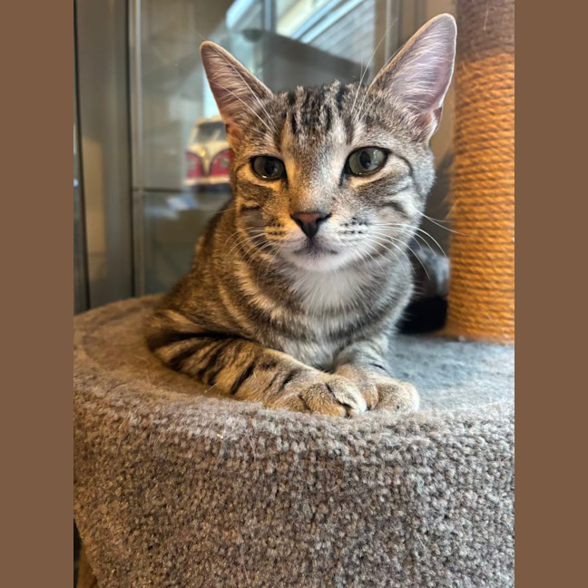 Photo of Finn