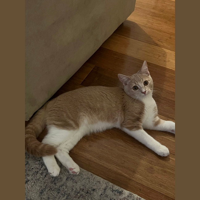 Photo of Captain Colin