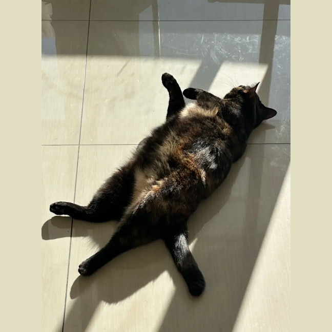 Photo of Samantha