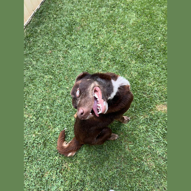 Photo of Ace