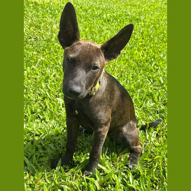 Photo of Lil Olive