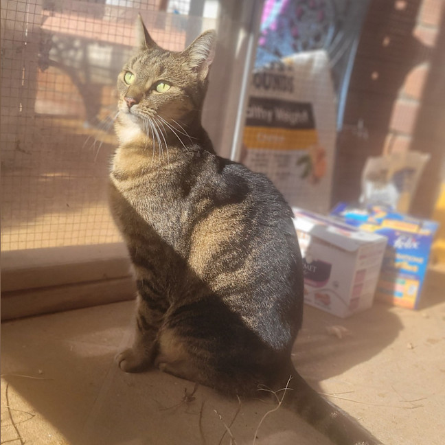 Photo of Tahlia