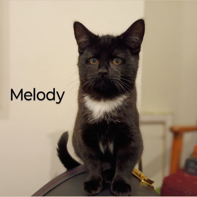 Photo of Melody   Burnie