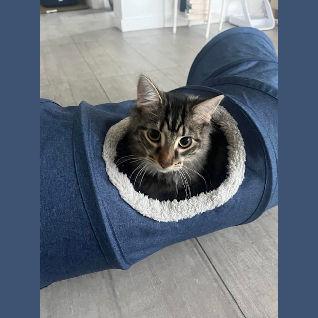 Photo of Shiraz & Cognac🍹