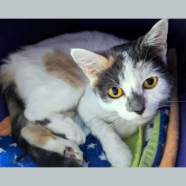 Photo of Mable