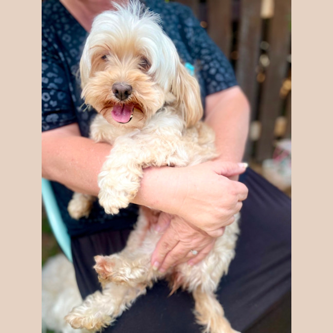 Photo of Molly & Benji