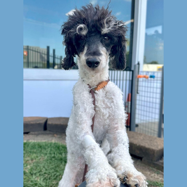 Photo of Molly