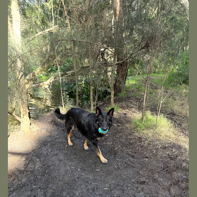 Photo of Max