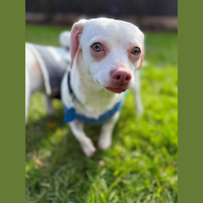 Photo of Jessie 