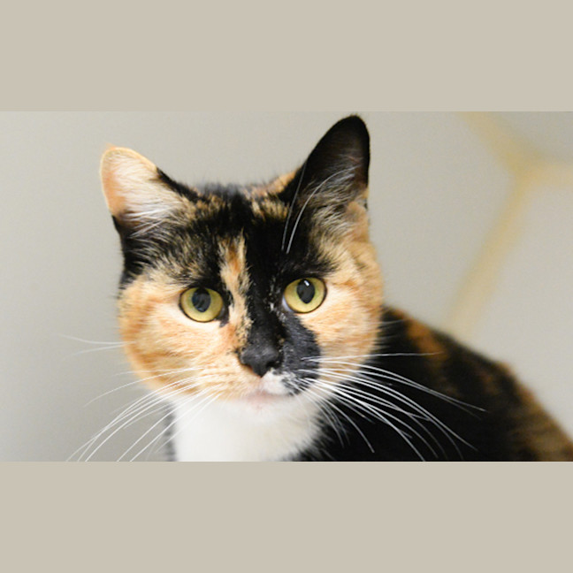 Photo of Esmeralda