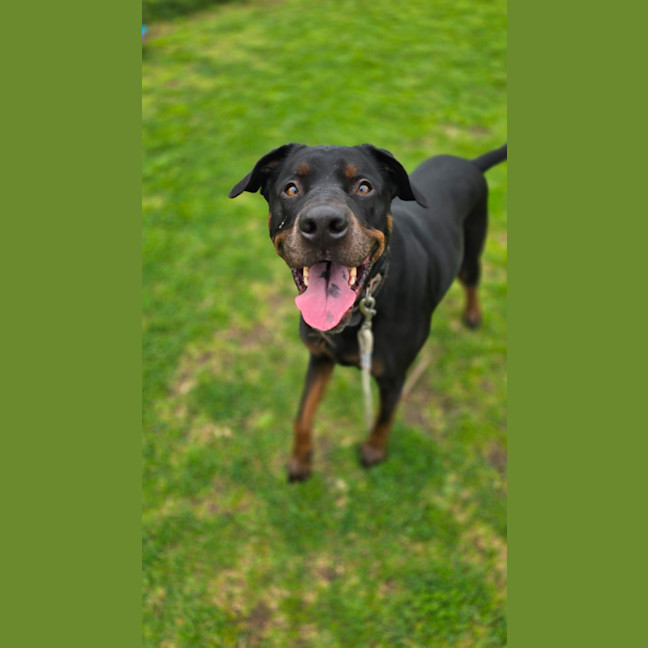 Photo of Charlie   64056