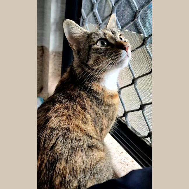 Photo of Quinn