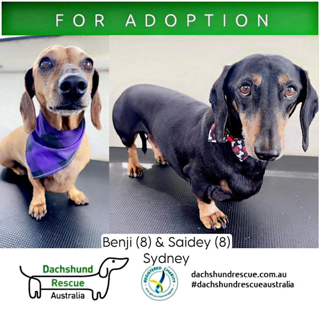 Photo of Benji And Saide