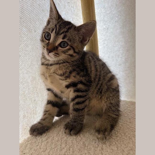 Photo of Skyla