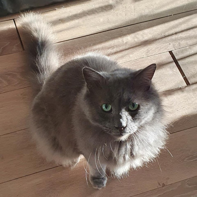 Photo of 6607   Bentley