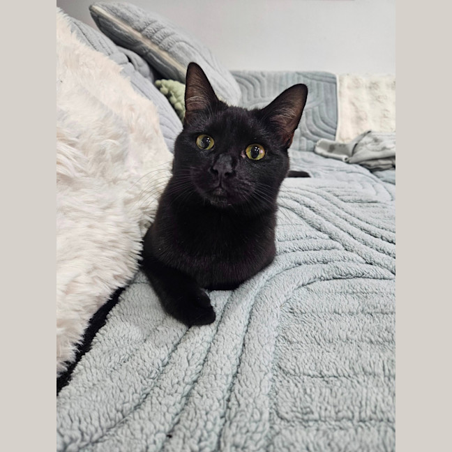 Photo of Bell