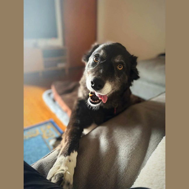 Photo of Susie