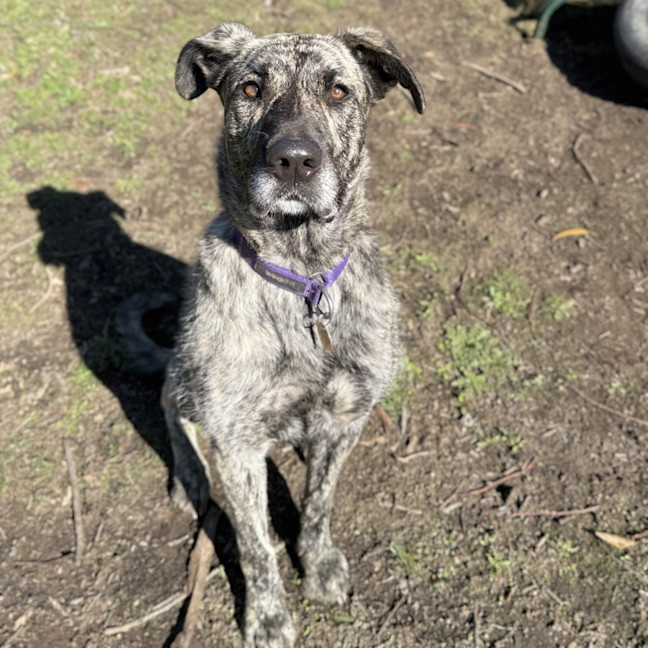 Photo of Zelda