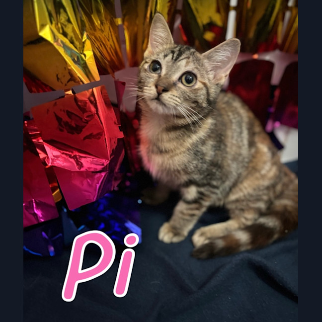 Photo of Pi