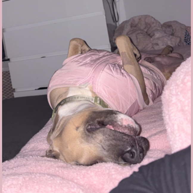 Photo of Zeus