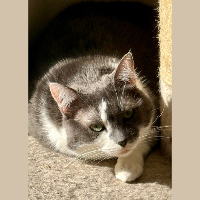Photo of Storm