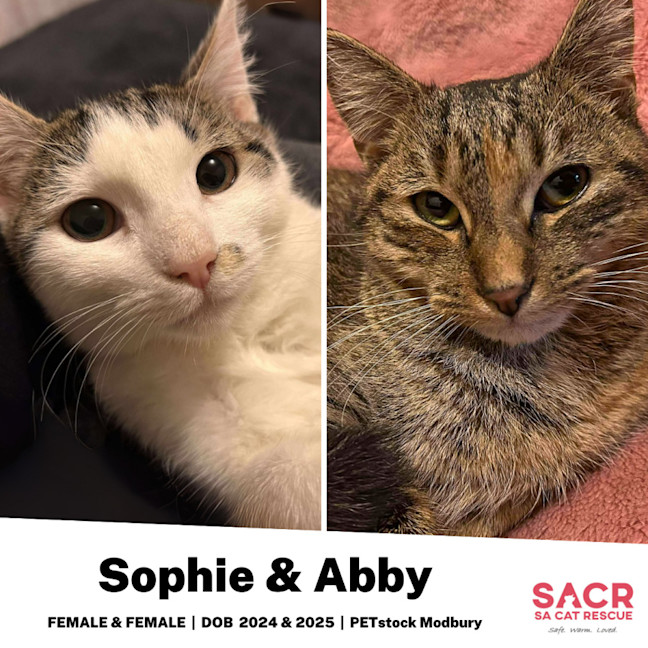 Photo of Sophie & Abby