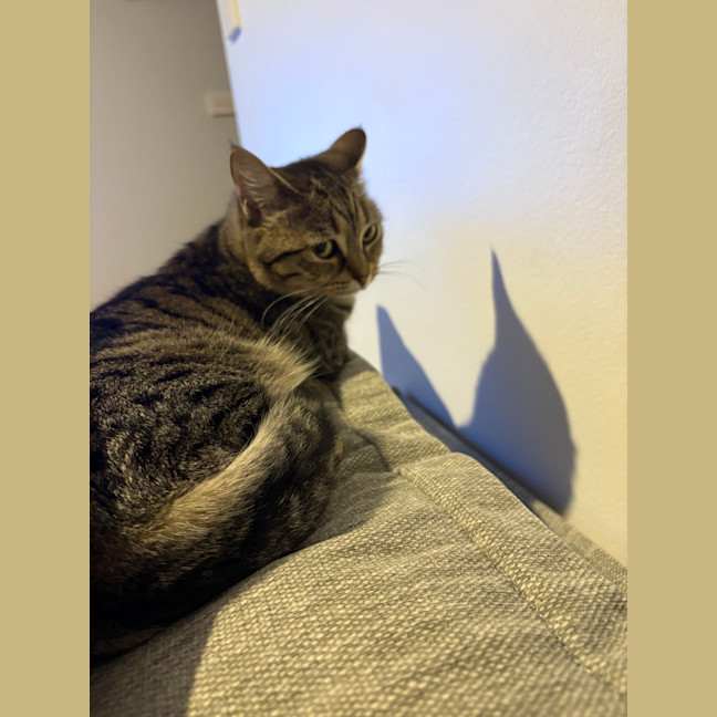 Photo of Charlie