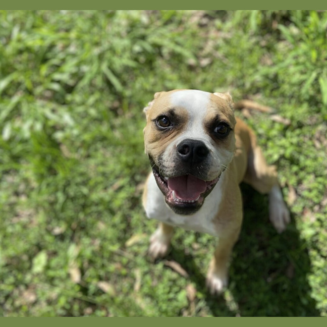 Photo of Billy