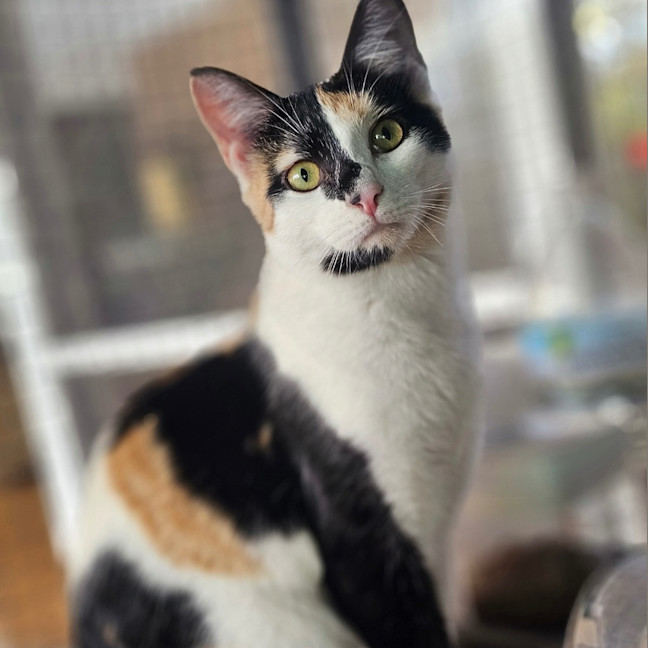 Photo of Isobel