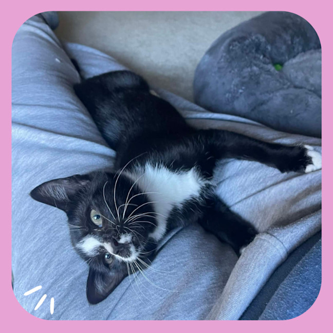 Photo of Tora