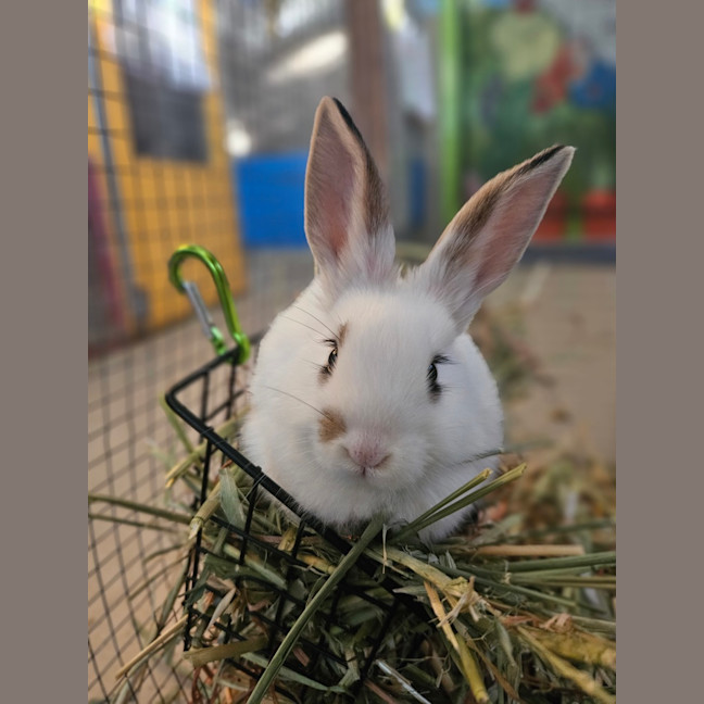 Photo of Gus