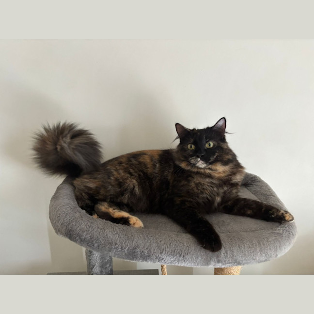 Photo of Hazel