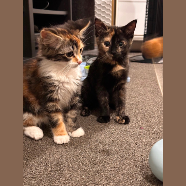 Photo of Astrid & Yogi