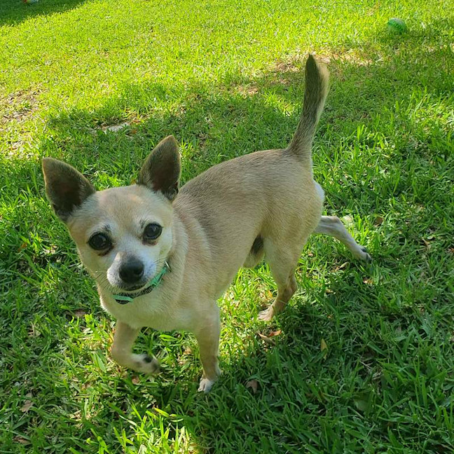 Photo of Tito