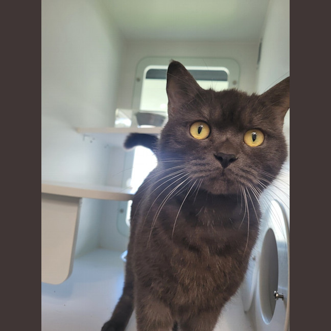 Photo of Clyde