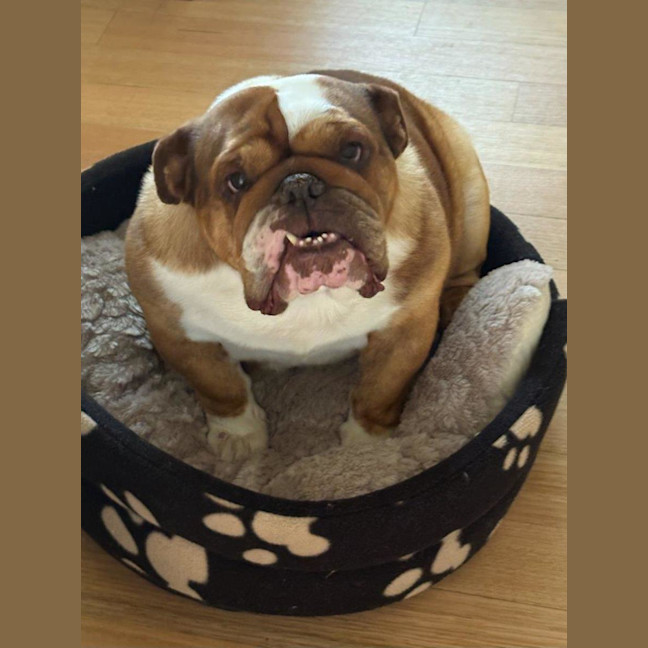 Photo of Sally And Jessie Wensleydale