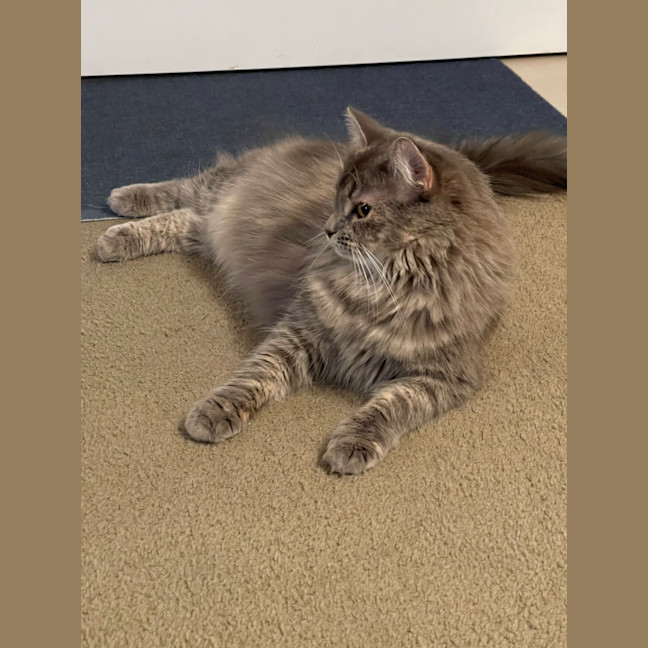 Photo of Elsie