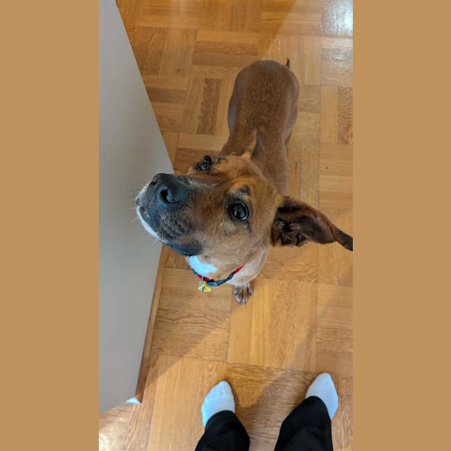 Photo of Athena