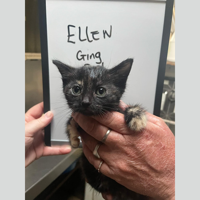 Photo of Ellen