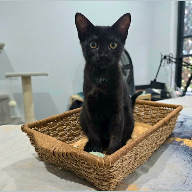 Photo of Libby