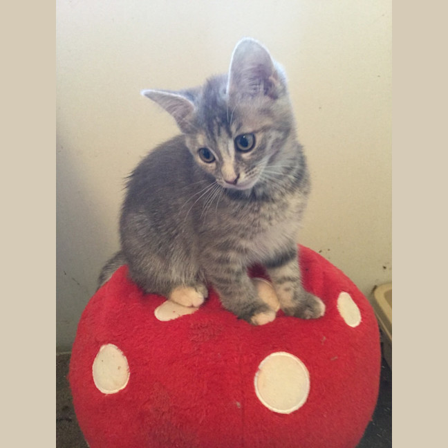 Photo of Isla
