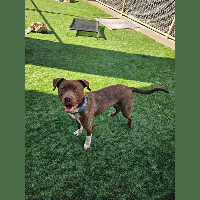 Photo of Tilly