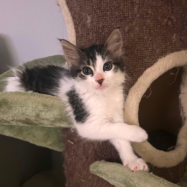 Photo of Audrey 💕