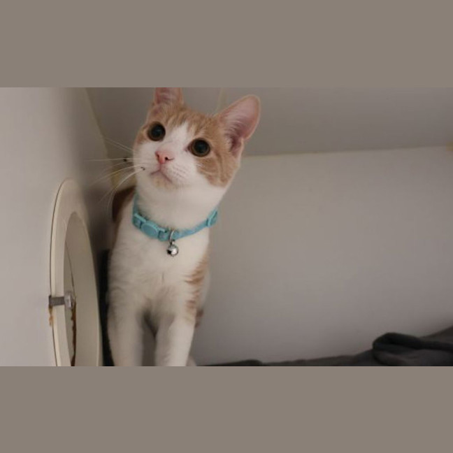 Photo of Lenny