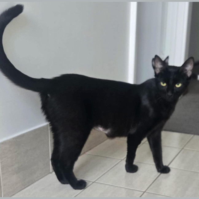 Photo of 12913   Leela