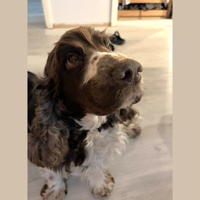 Photo of Gennie