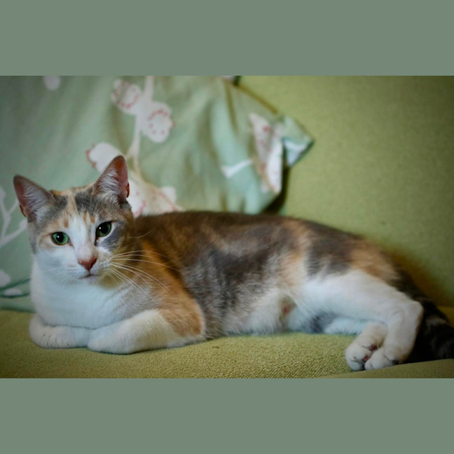 Photo of Wilma 